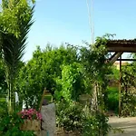 Bed and breakfast B&B Nurachi 3*